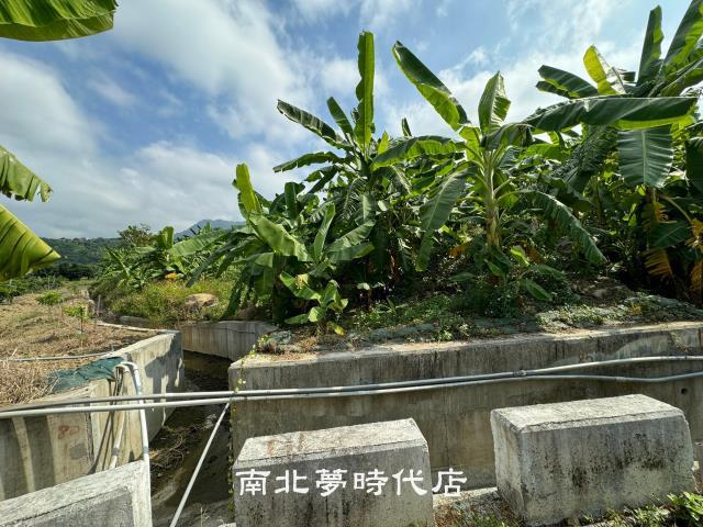 台南左鎮農地-13