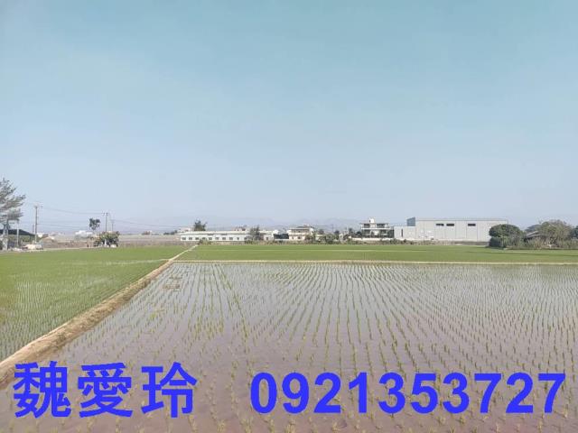 芬園農地-2