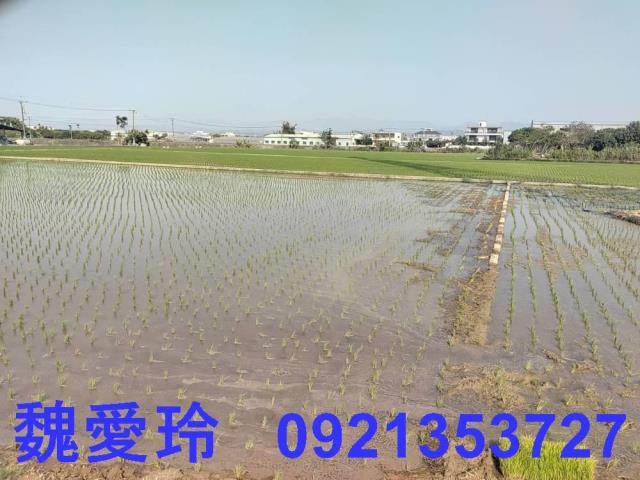 芬園農地-4