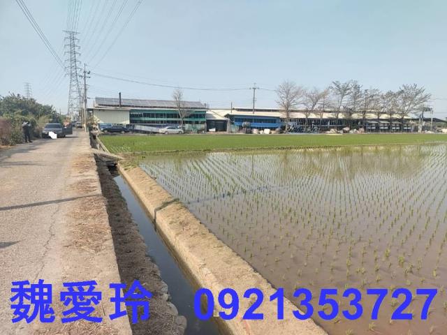 芬園農地-5