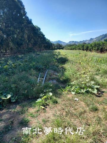 台南農地-4