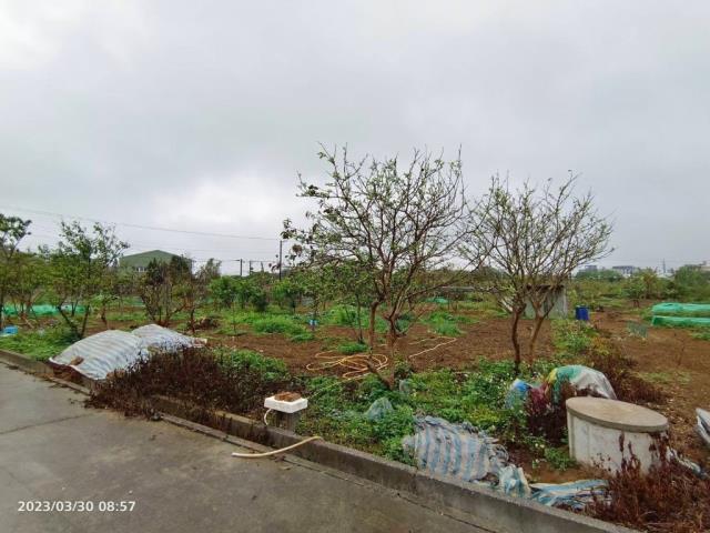 中壢農地-2
