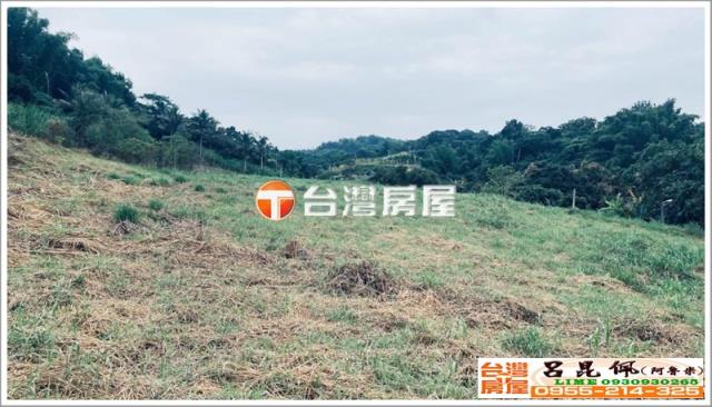 中埔農地-3