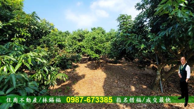 高雄內門農地-10
