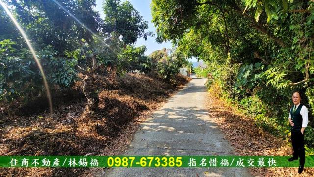 高雄內門農地-2