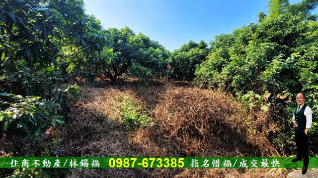 高雄內門農地-3