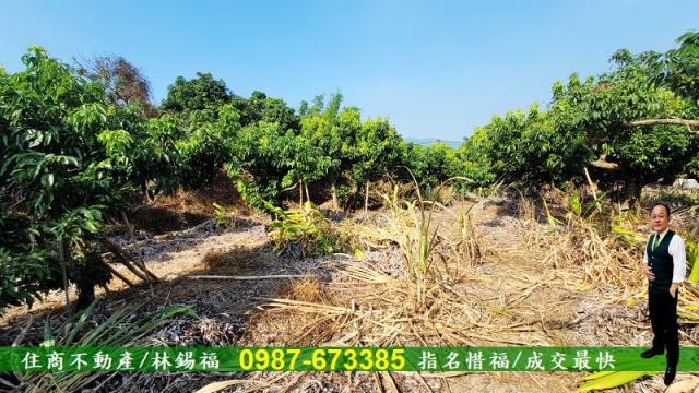 高雄內門農地-5