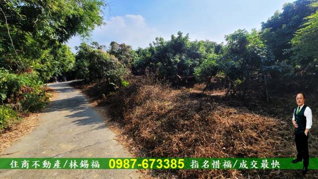 高雄內門農地-6