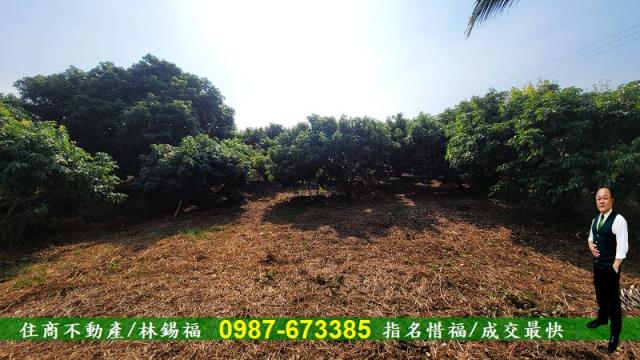 高雄內門農地-8