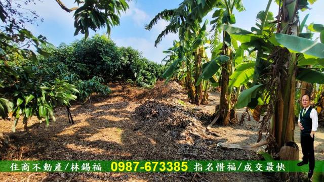 高雄內門農地-9