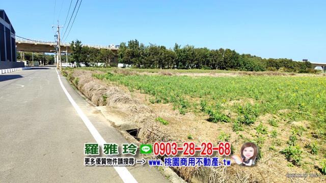 新屋農地-3