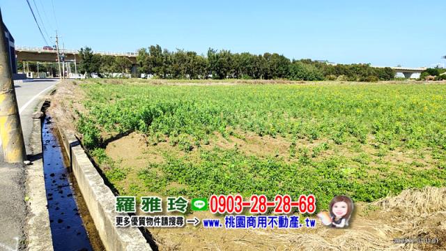 新屋農地-6