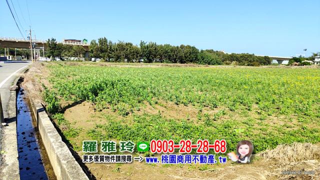 新屋農地-8