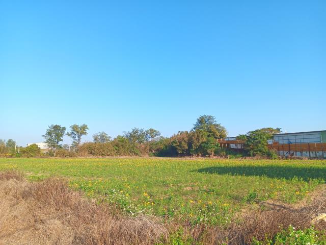 桃園新屋農地-1