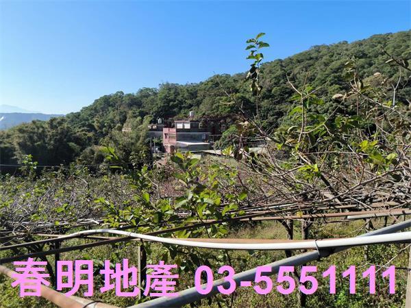 新竹新埔農地-7