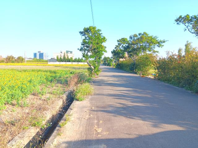 新屋農地-2