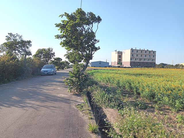 新屋農地-4