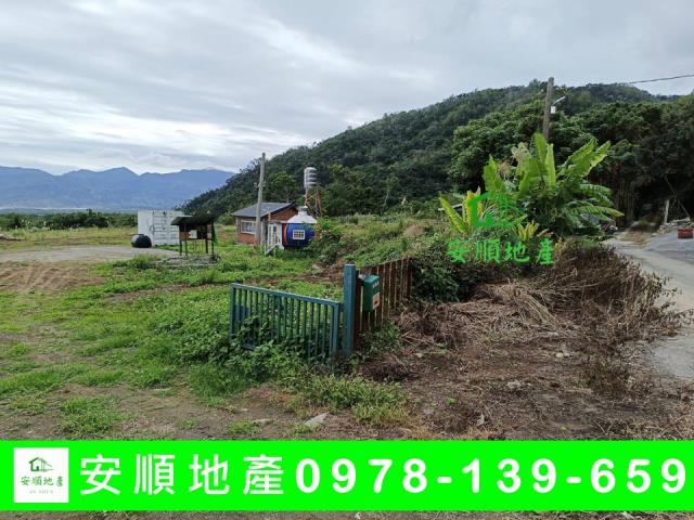海端農地-4