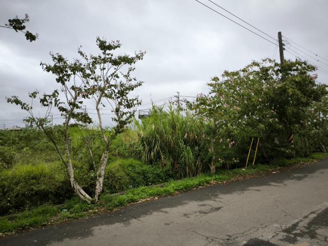 中壢工業地-3