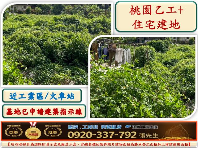 桃園桃園區建地-1