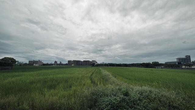桃園中壢農地-6