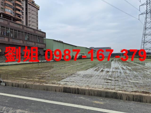 高雄大寮農地-1