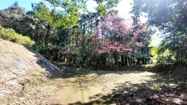 橫山農地-3