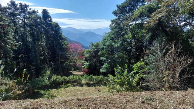 橫山農地-6