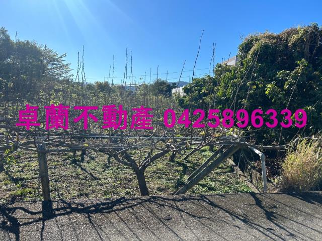 卓蘭農地-2