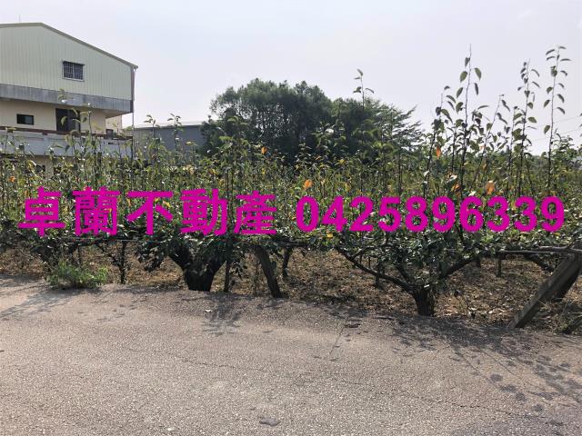 卓蘭農地-6