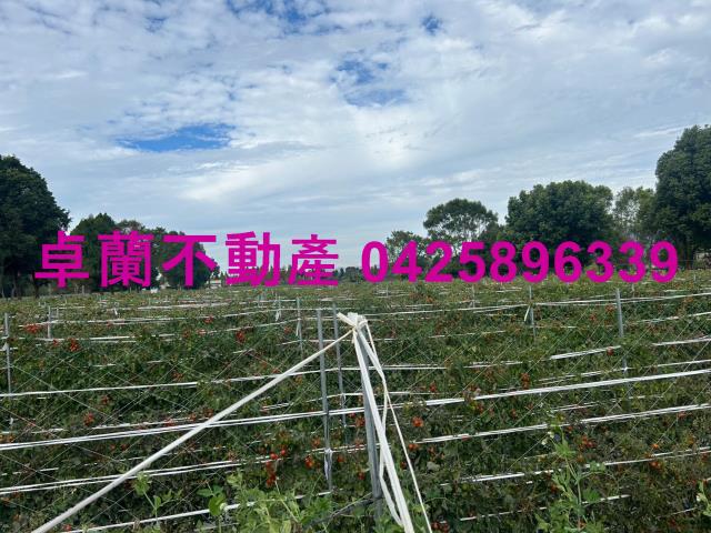 苗栗農地-1