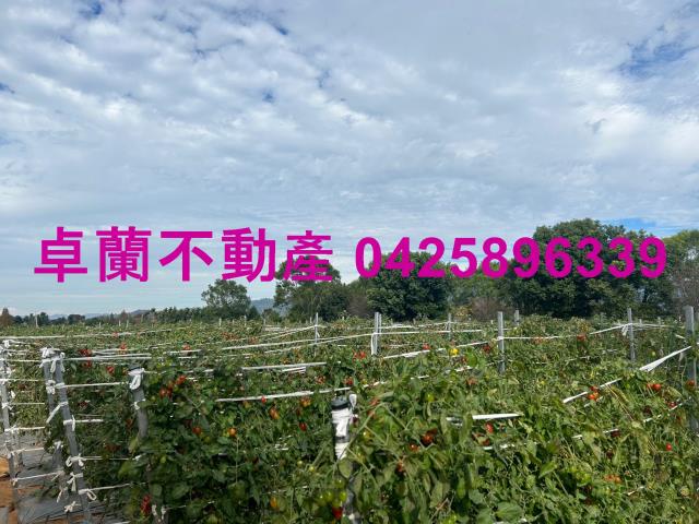 苗栗農地-6