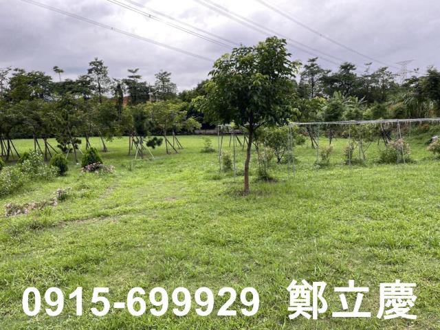 桃園龍潭農地-11