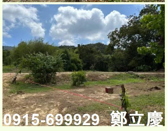 桃園龍潭農地-7