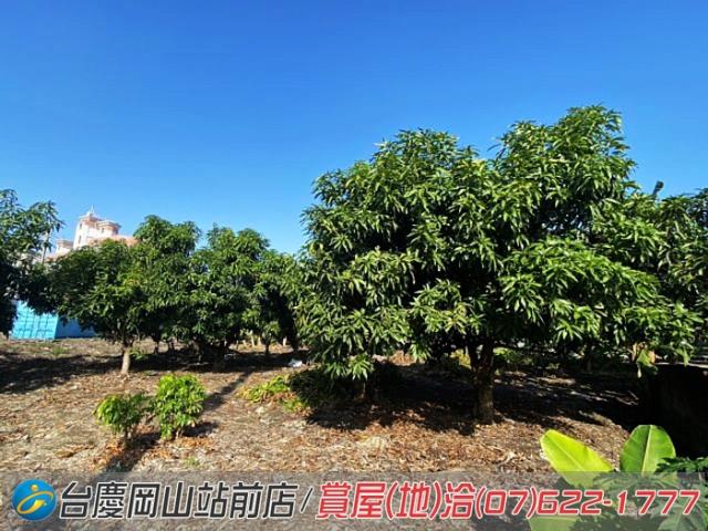 阿蓮建地-12