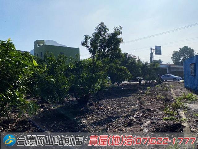 阿蓮建地-5