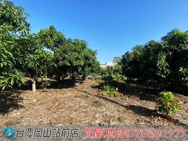 阿蓮建地-9
