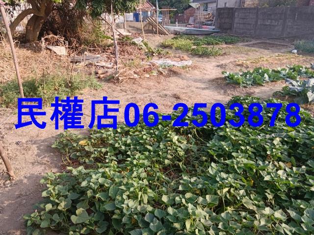 六甲建地-11