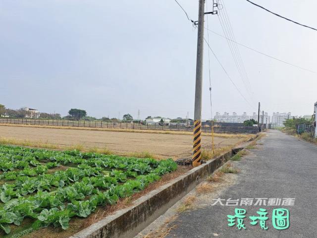 善化農地-3