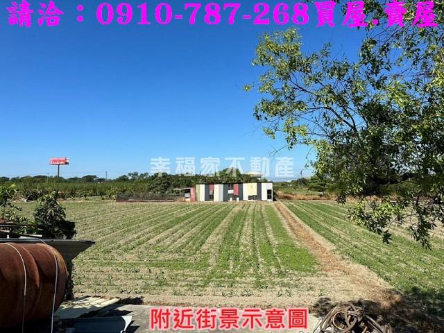 台南農地-10