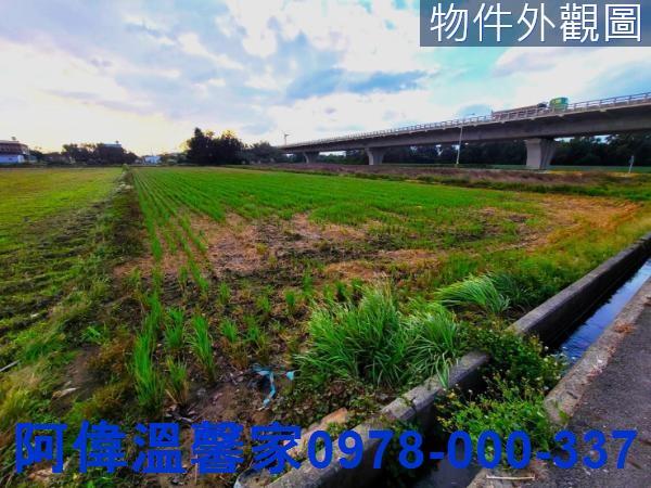 新豐農地-2