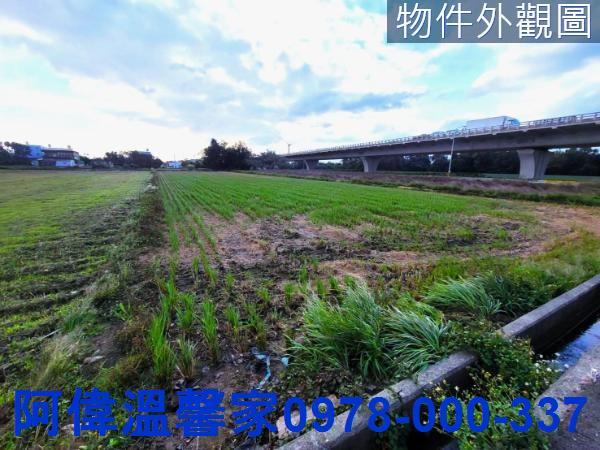 新豐農地-4