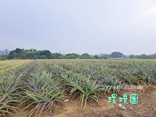 山上農地-3