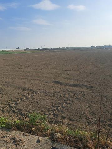 嘉義水上農地-5