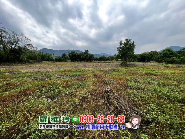桃園龍潭農地-2