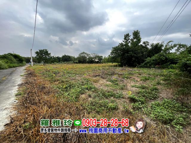 桃園龍潭農地-3
