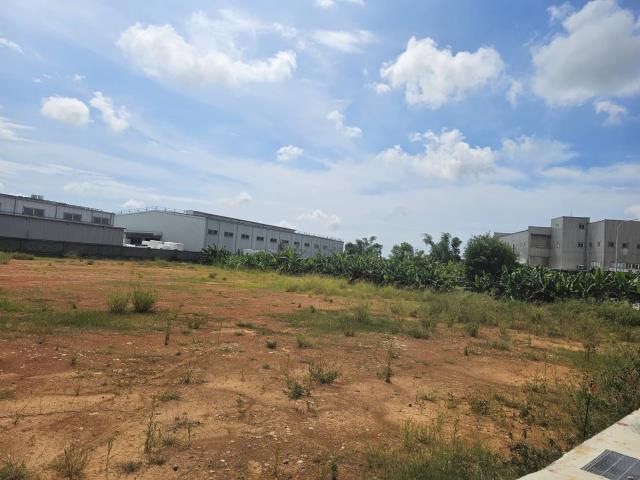 桃園新屋工業地-2