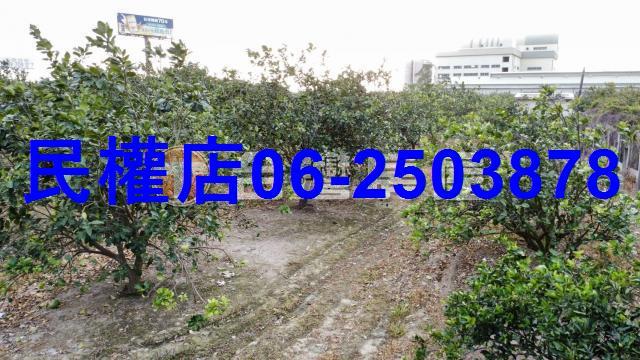台南農地-9