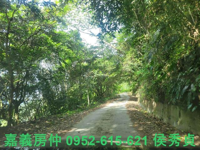 番路農地-15