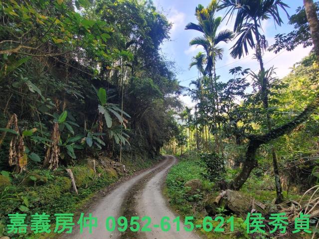 番路農地-5